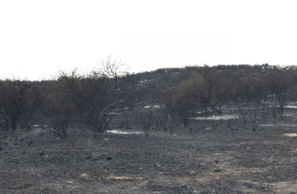 Dos focos de incendio que estaban activos en la mañana del jueves en Córdoba fueron sofocados