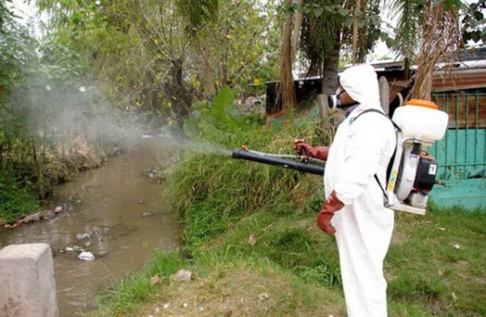 Dengue: malestar de vecinos por terrenos privados con malezas en Montecarlo