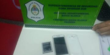 Detienen a un vendedor de bolsas que se robó un celular