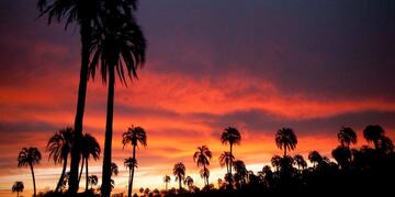 El Palmar, Entre Ríos