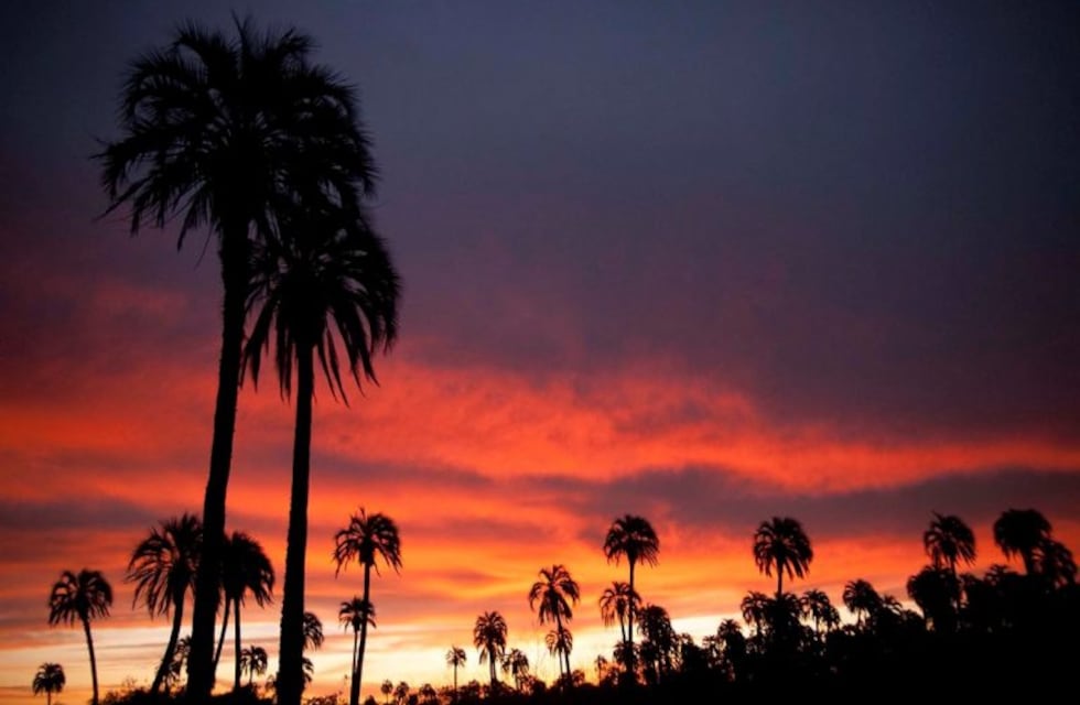 El Palmar: entre pájaros y atardeceres