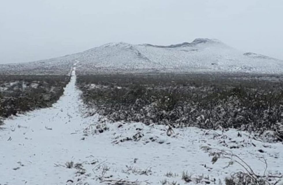 Una fuerte nevada en el sur mendocino afectó el noroeste de La Pampa
