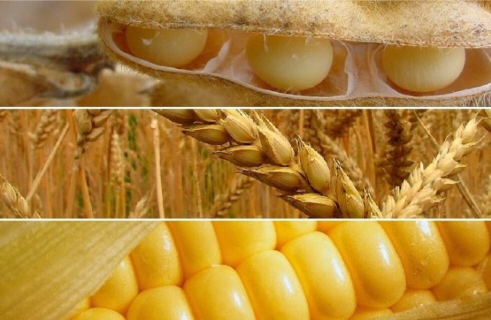 Mercado mundial de los principales cultivos: precios y cantidades