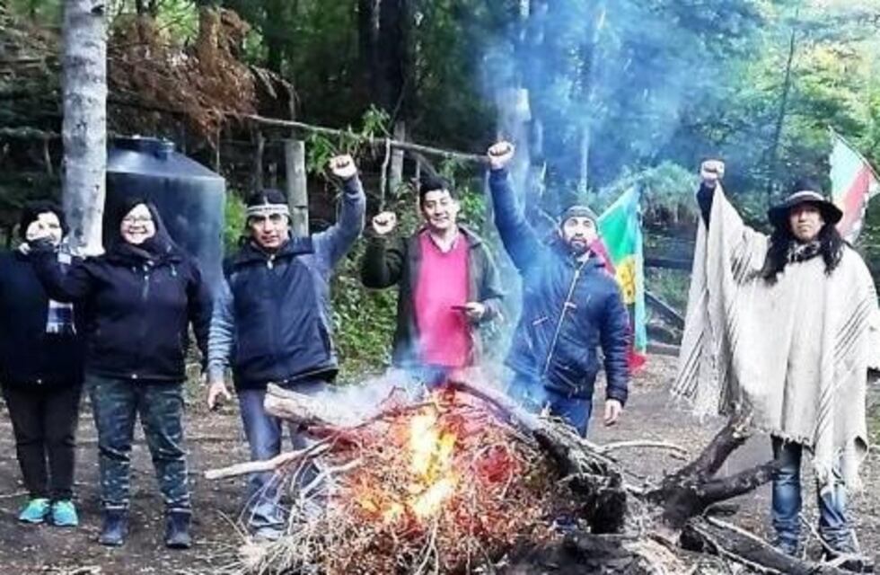 Mapuches toman tierras en Villa La Angostura y denuncian el desmonte de un "bosque intangible"