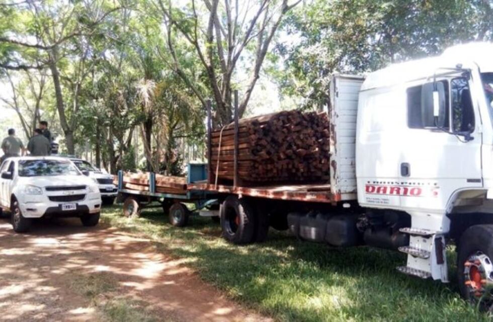 Incautan madera nativa robada de un lote en San José