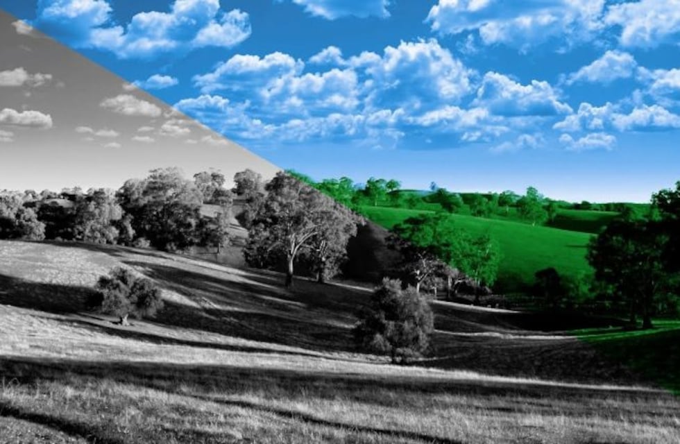 Con esta ilusión óptica veremos color en una foto en blanco y negro