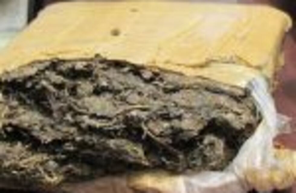 Secuestraron 10 kilos de marihuana en un colectivo con destino a Rosario