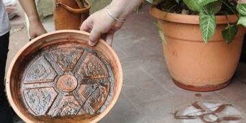 Dengue: analizan el fallecimiento de una obereña y aumentan los casos sospechosos