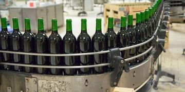 El Banco de Vinos Provincial espera la conformación de su consejo asesor\u002E
