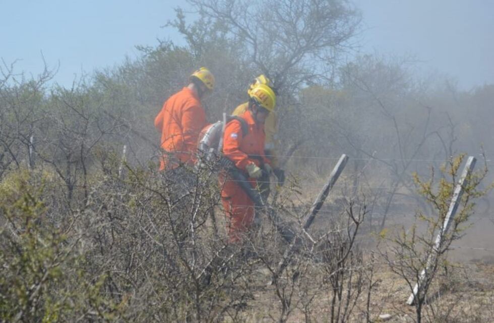 Nuevamente el camino de Los Artesanos fue protagonista de un incendio