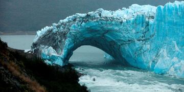 Biodiversidad: pérdidas por la actividad humana