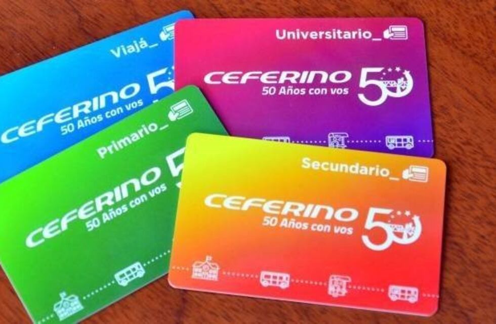 Tras la implementación de "Viedma Bus" los vecinos reclaman que no tienen con quién quejarse