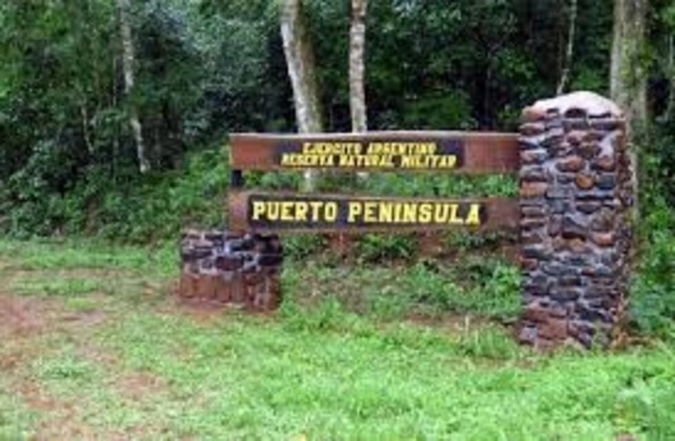 Iguazú: en campo del Ejército talan árboles y montan aserradero ilegal