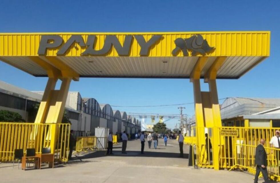 Raúl Giai Levra de Pauny "Las ventas cayeron entre el 35 y 40%"