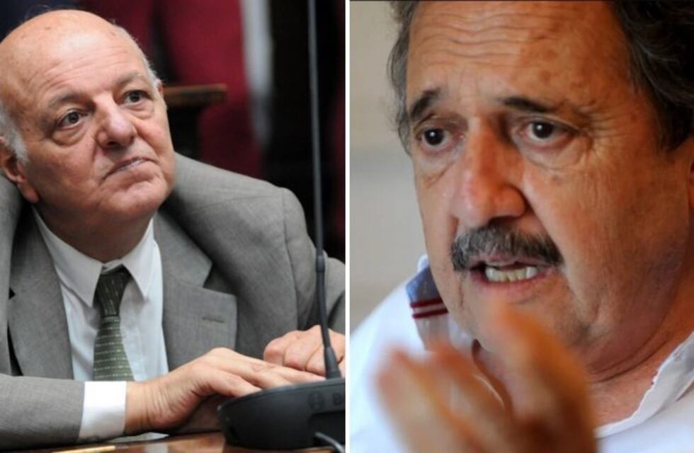 Fuerte cruce entre Ricardo Alfonsín y un senador radical mendocino