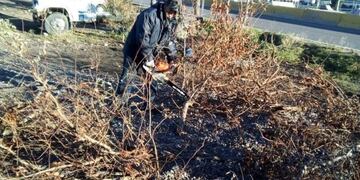 Limpieza de escombros y basura en la vía pública de Rawson\u002E
