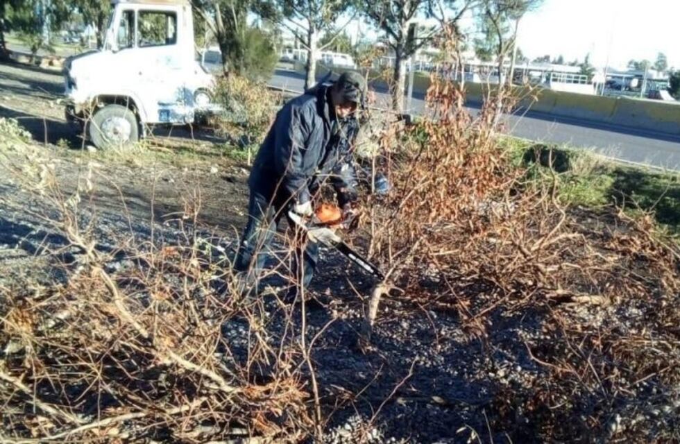 La Municipalidad realizó trabajos de limpieza en los barrios de la capital