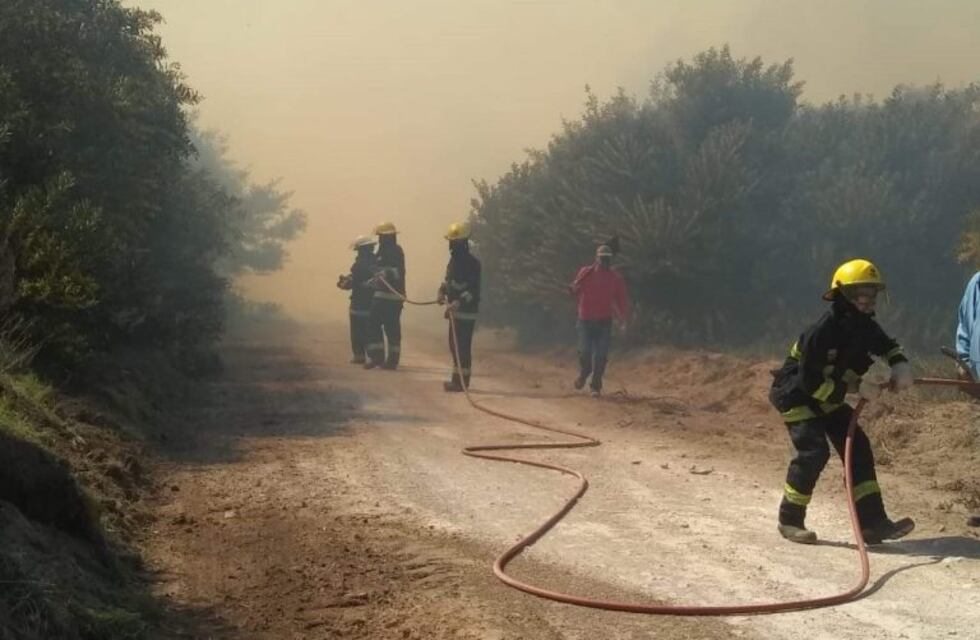 Incendio en el vivero: el fuego llegó a los médanos donde los bomberos esperan contenerlo