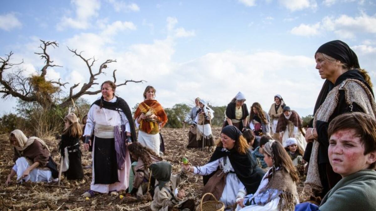 La vida es sueño, cortometraje\u002E