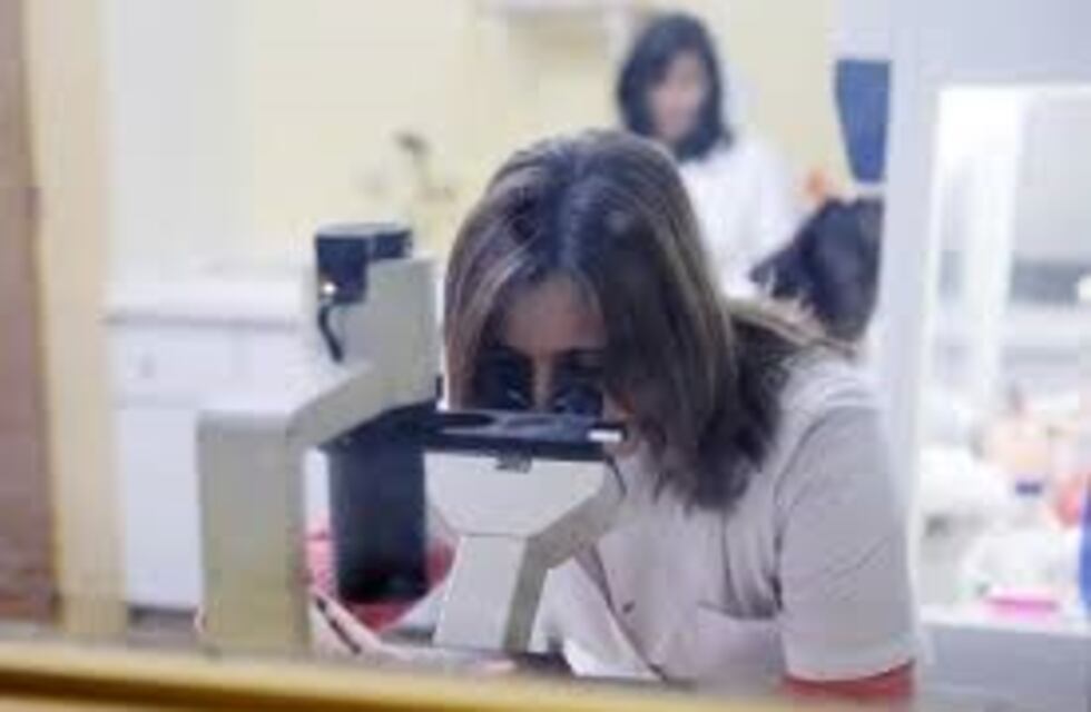 Científicos de la UNLP buscan producir detergente a partir de desechos de la industria avícola