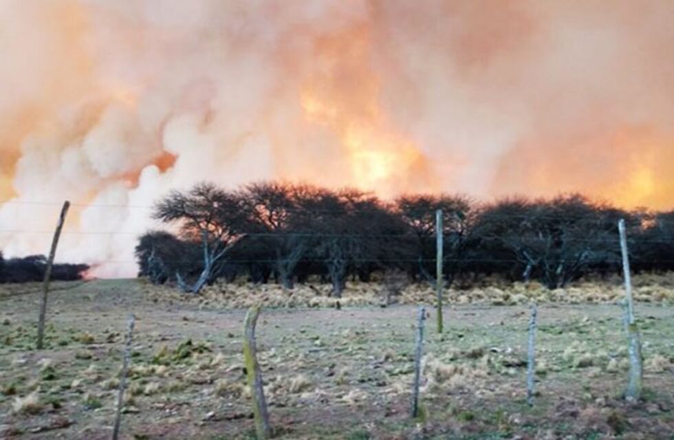 Un incendio desatado cerca de Quehué quemó unos 15 kilómetros de monte de caldén