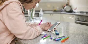 Estudiar en casa, clases virtuales, clases online, educación en pandemia\u002E Mendoza\u002E