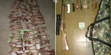 Vizcachas faenadas\u002E