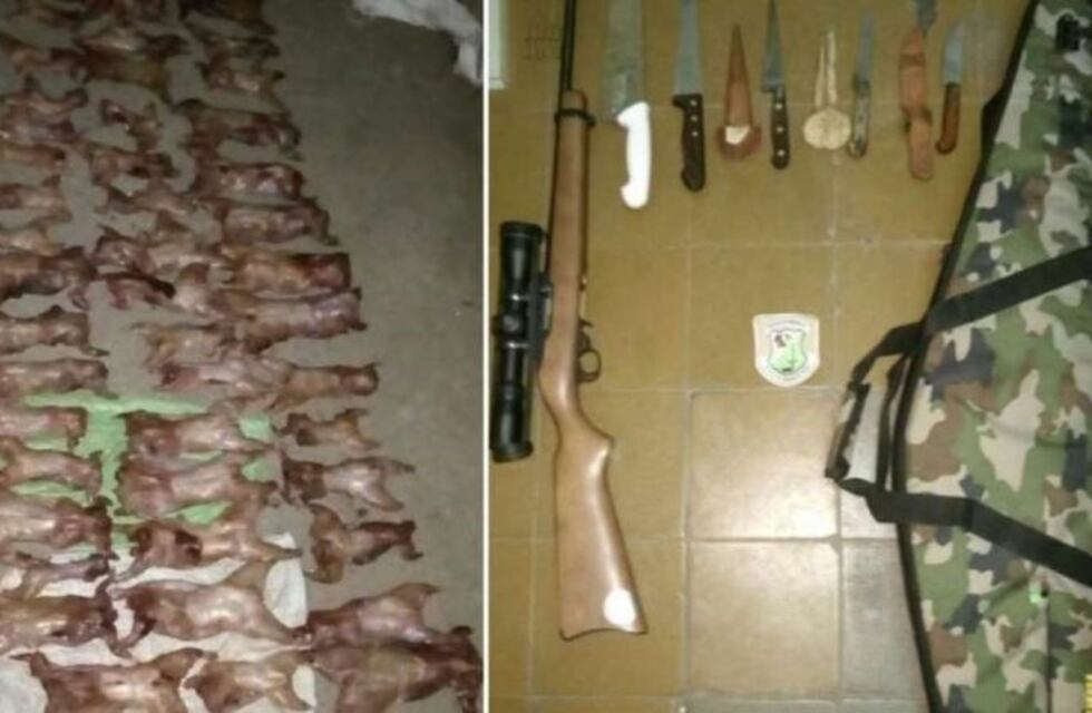 Detuvieron a cinco mendocinos con 48 vizcachas faenadas