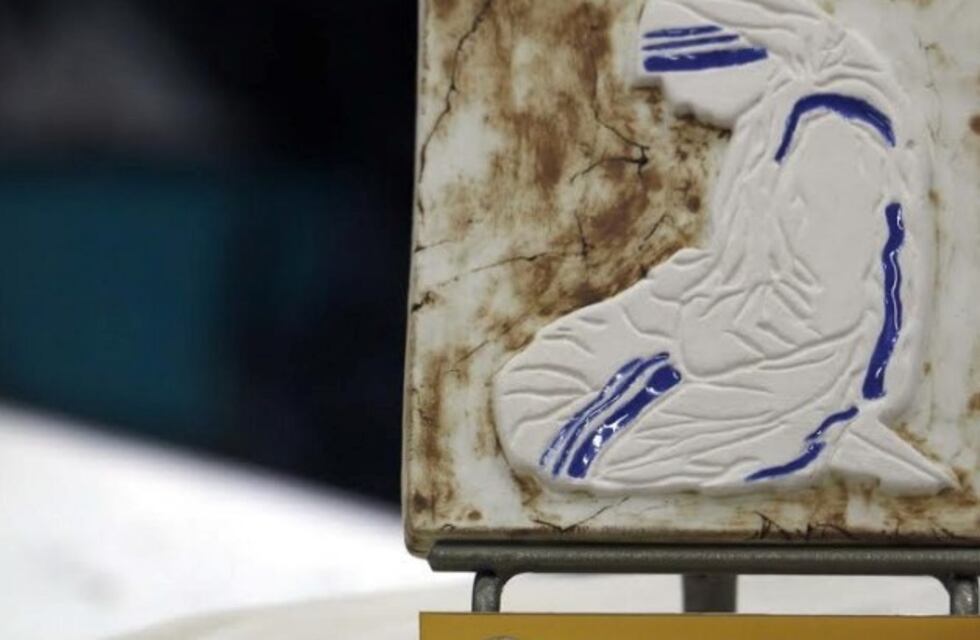 Premios "Río Grande Solidaria" se prepara para su 6° edición