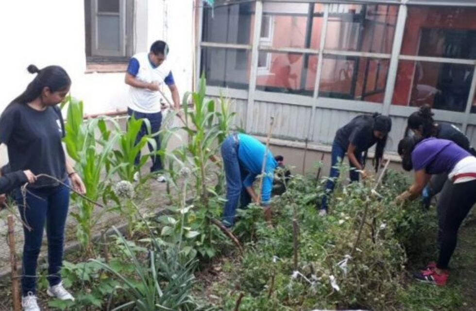 Dictarán clases gratuitas de armado de huerta y pintura en villa Asunción