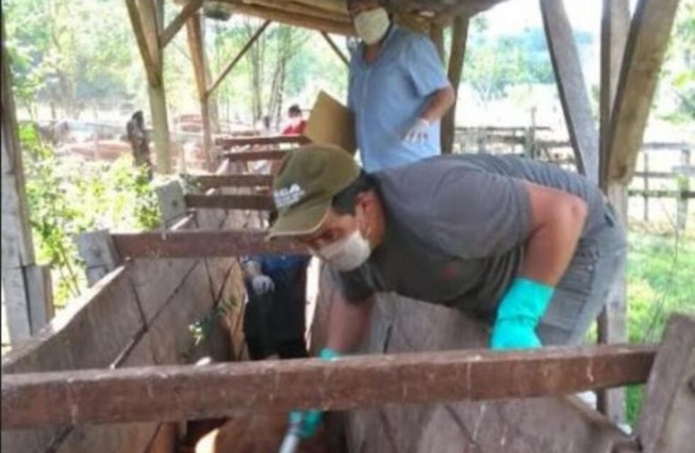 Desde la Asociación Ganadera Andresito dieron inicio a la campaña de vacunación