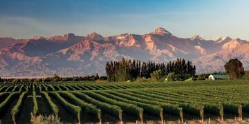 Mendoza: el destino que todos quieren visitar
