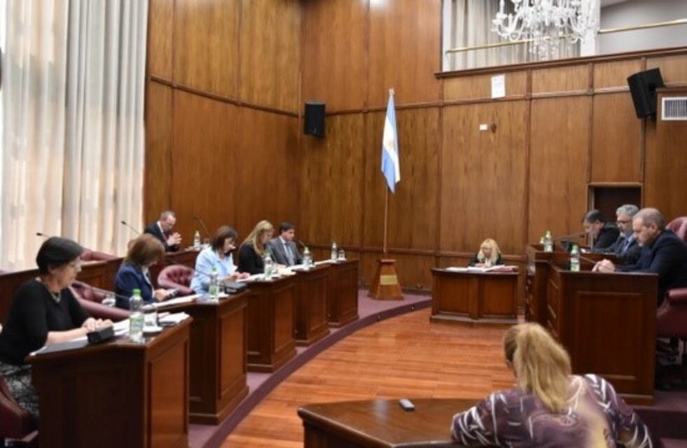 El senador Rosendo presentó un certificado médico por 30 días
