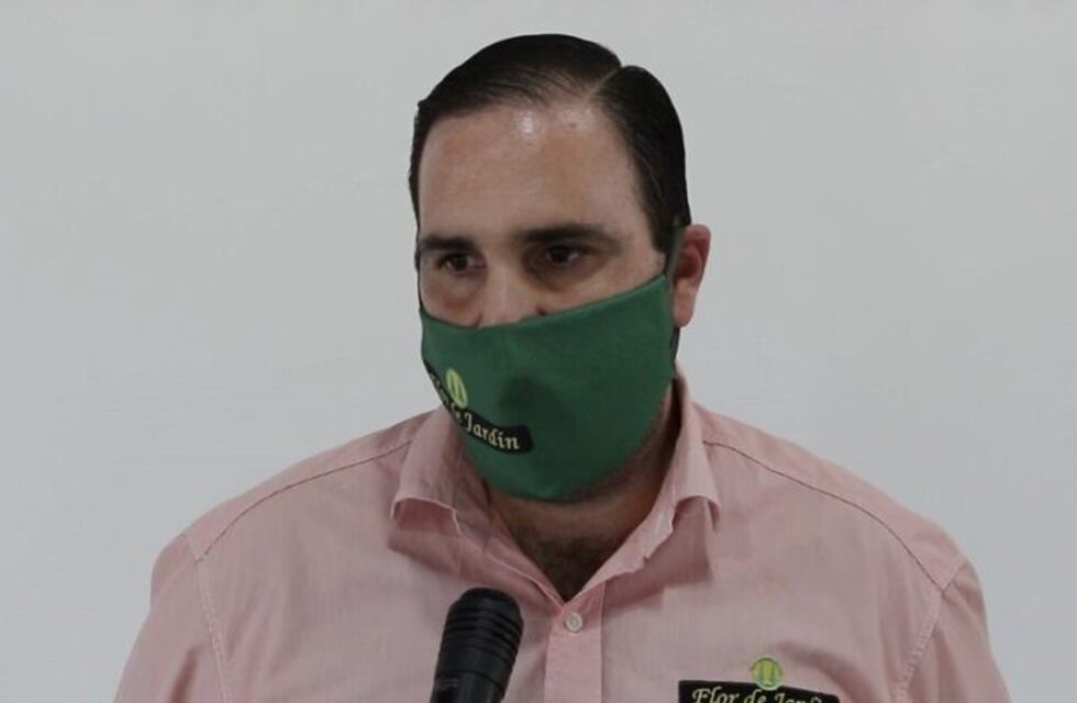 Cooperativas instan a los yerbateros a mejorar la calidad de sus plantaciones