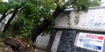 Temporal en La Plata (Web)