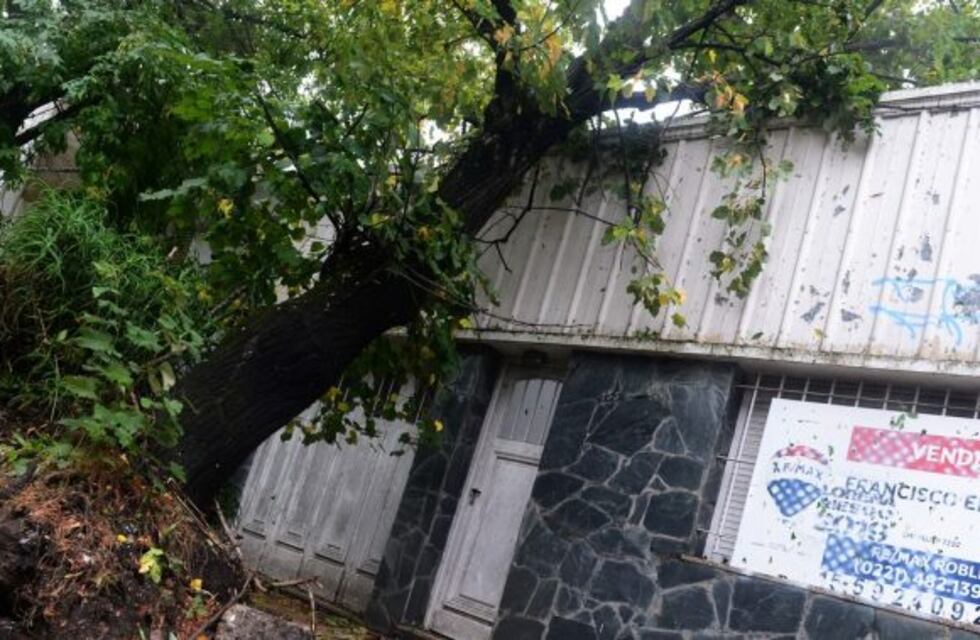 Cortes de luz, caída de árboles y anegamientos por una tormenta en La Plata