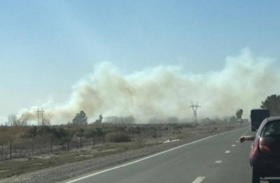 El fuerte viento Zonda y las altas temperaturas desataron diversos incendios