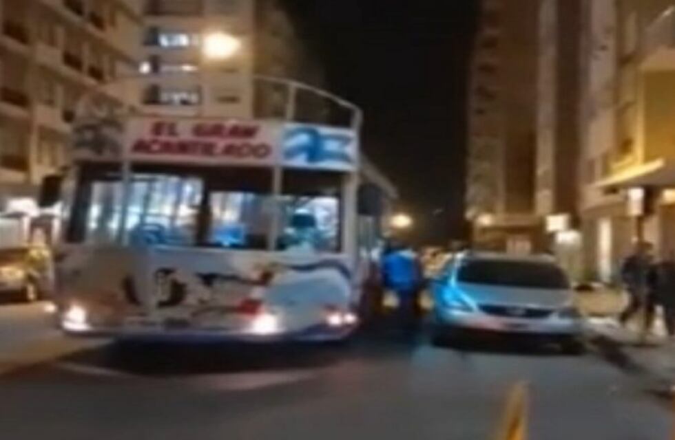 Un grupo de jubilados recorrió Mar del Plata en un "barquito" de excursión