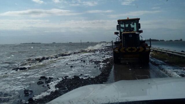 La Picasa sigue creciendo en el sur provincial.