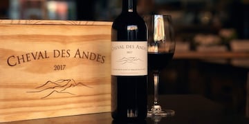 Chaval des Andes 2017