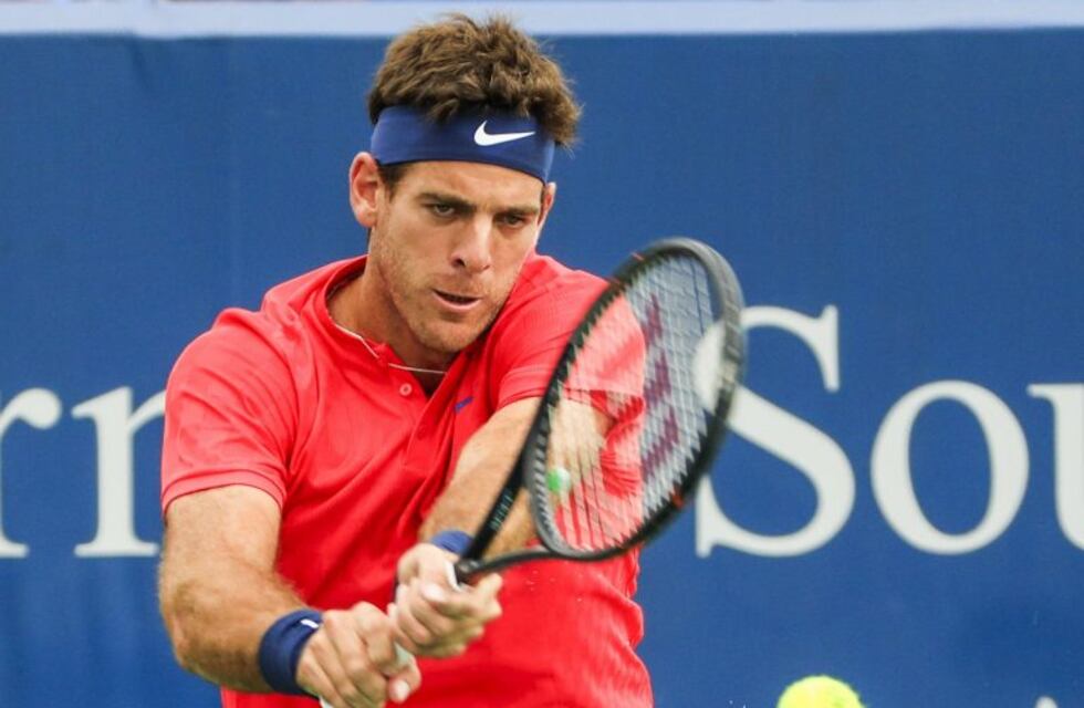 Del Potro cayó con Dimitrov y se despidió del Masters 1000 de Cincinnati