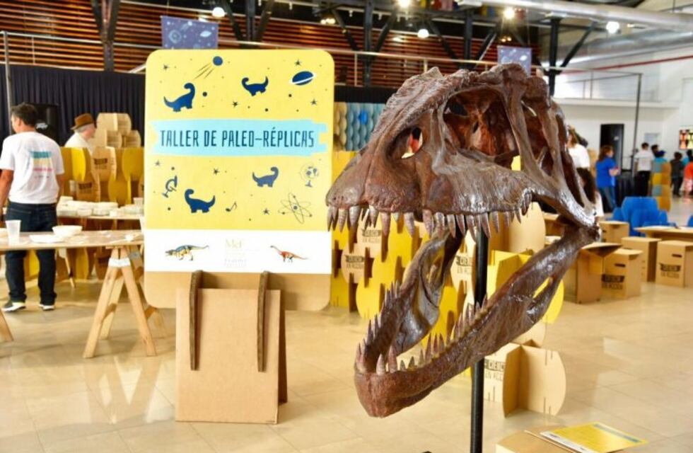 Ciencia en Acción llega a la ciudad de la mano de PAE