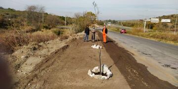 Plantaron otros 30 algarrobos y se incrementa la flora autóctona en Carlos Paz\u002E (Foto: prensa municipal)\u002E