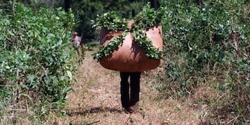 Imagen archivo\u002E Tareferos\u002E