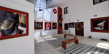 Museo de Arqueología de Alta Montaña (Web)