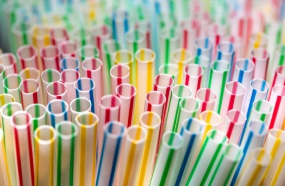 Prohibirán el uso de descartables plásticos de un solo uso