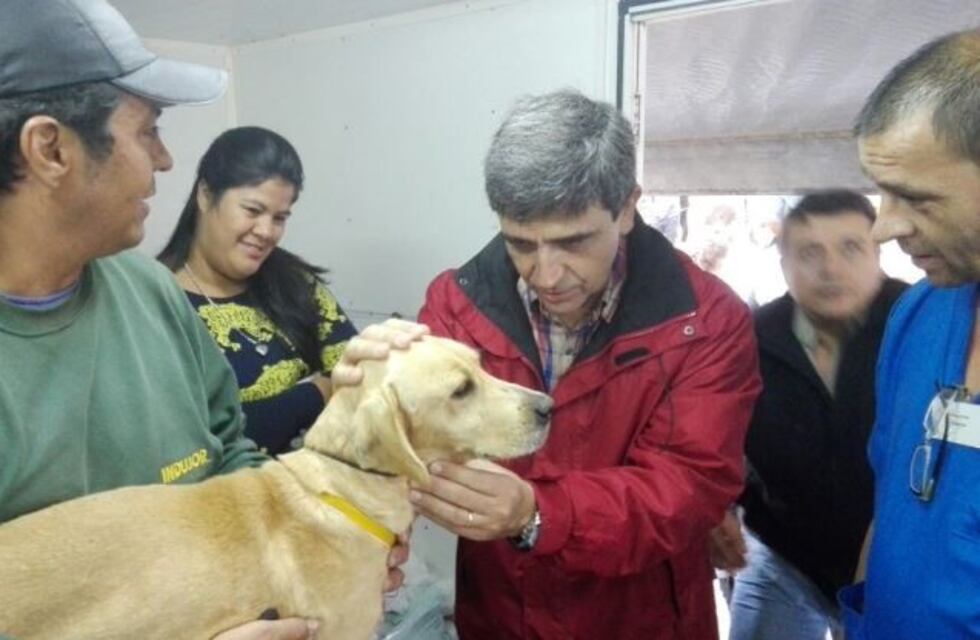 Recomiendan vacunar contra la rabia a todas las mascotas