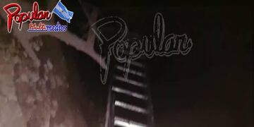 perros caida pozo ciego