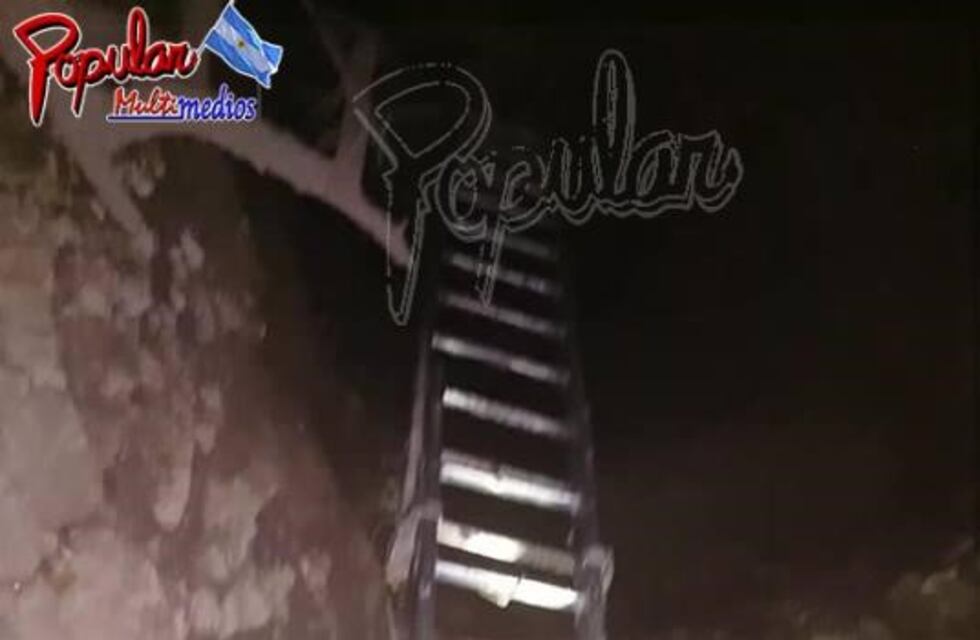 Dos perros cayeron a un pozo ciego y solo uno pudo ser rescatado