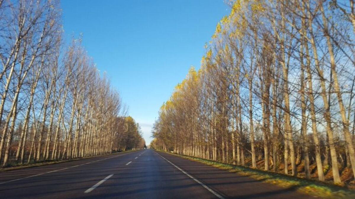 Despejado en invierno